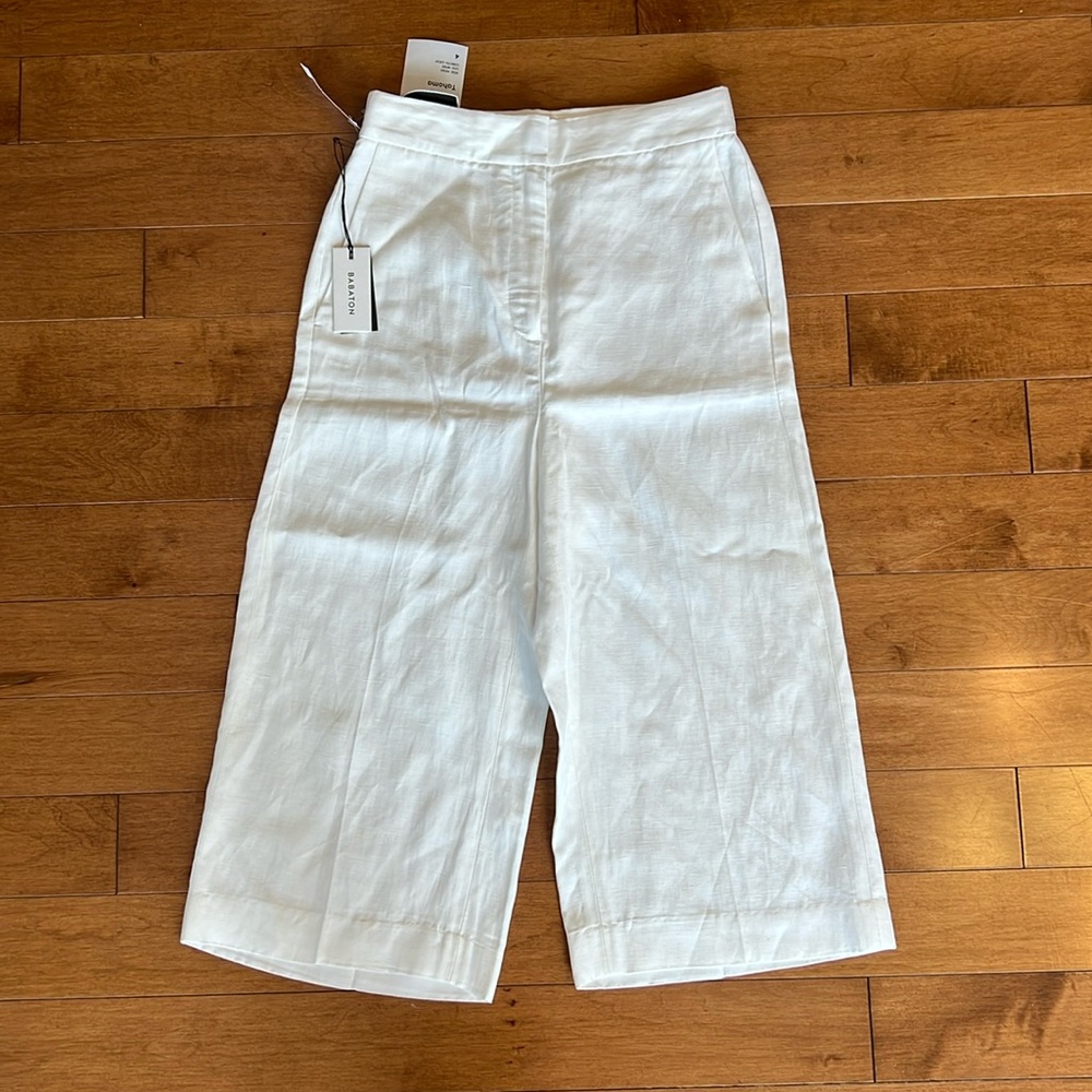 Aritzia Babaton Tahoma Short/Culotte